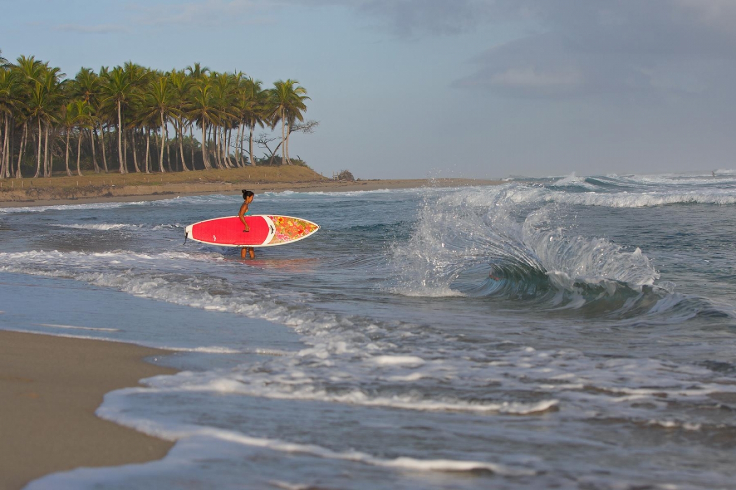 Tomoko, Dominican Republic